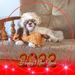 Meet your Posher, Carolyn